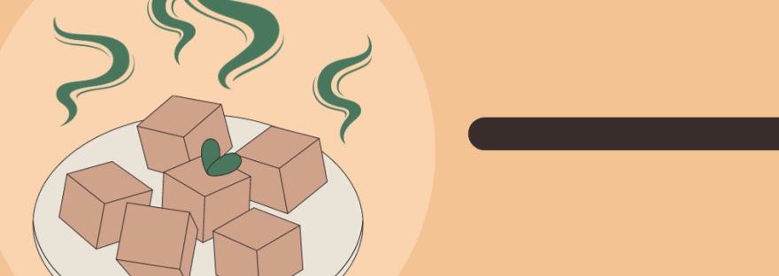 Taiwan Stinky Tofu | Love it or Leave it